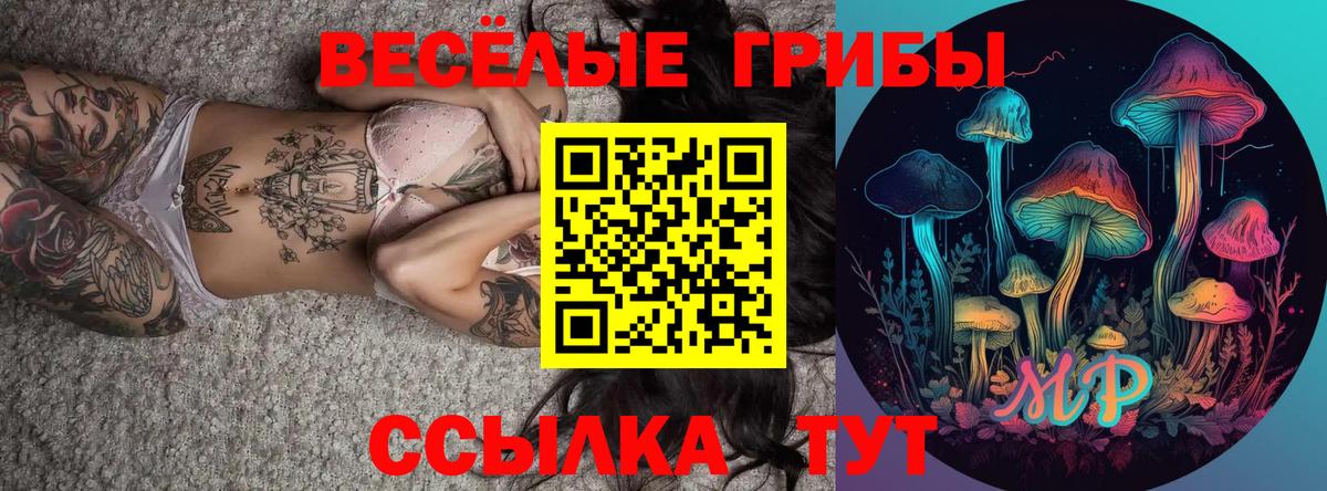 Псилоцибиновые грибы GOLDEN TEACHER  Вход с VPN  Кинель 