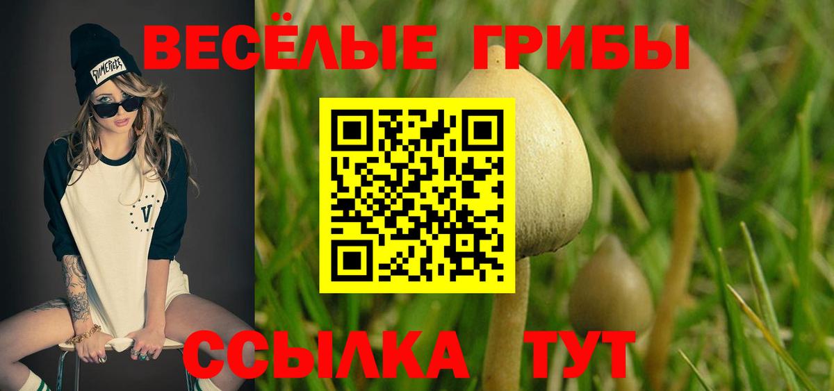 Галлюциногенные грибы мицелий Кинель